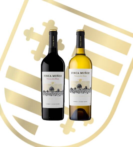 Cata Online Nuevo Curso Bodegas Muñoz