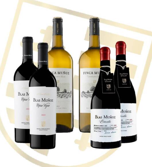 Lote club otoño 2025