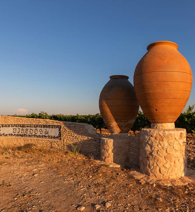 origenes-evolucion-2